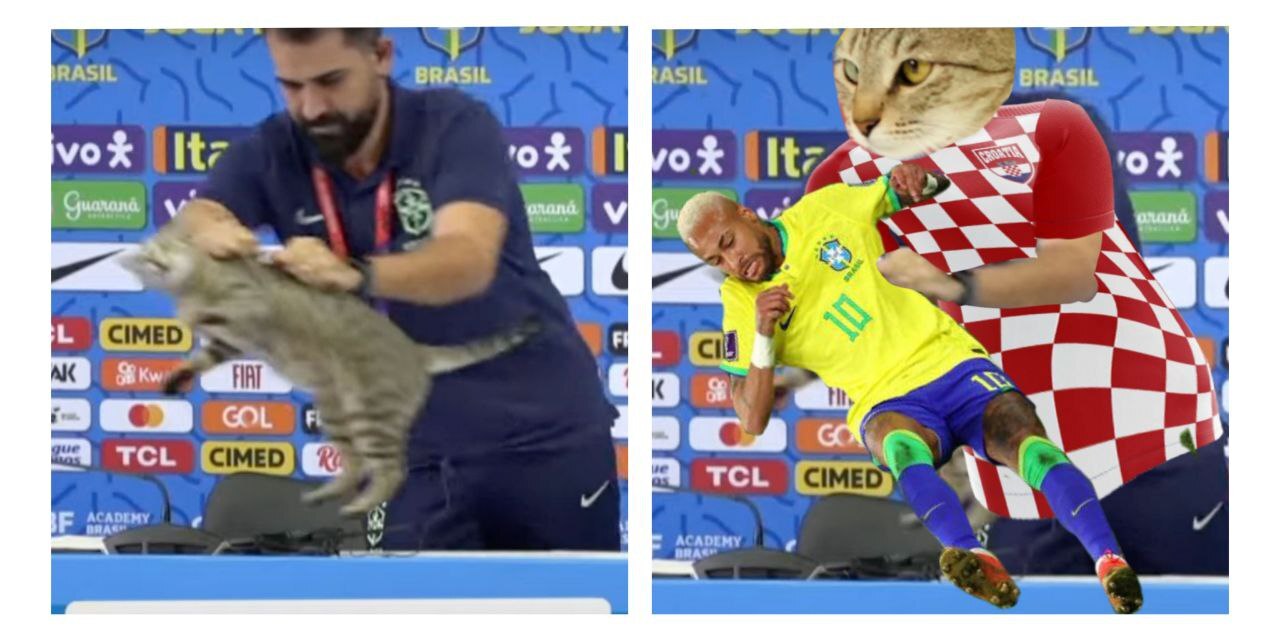 Бразильский кот