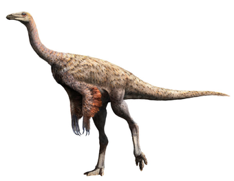 Файл:Орнитомим.png