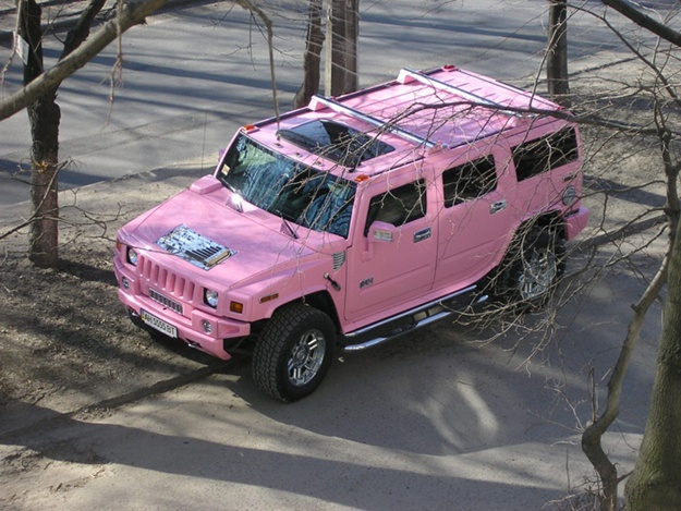 Файл:PinkHummer.jpg