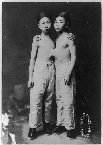 Файл:Siamese Twins.png