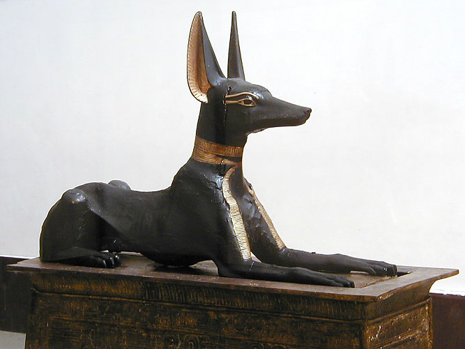 Файл:Tutankhamun jackal.jpg