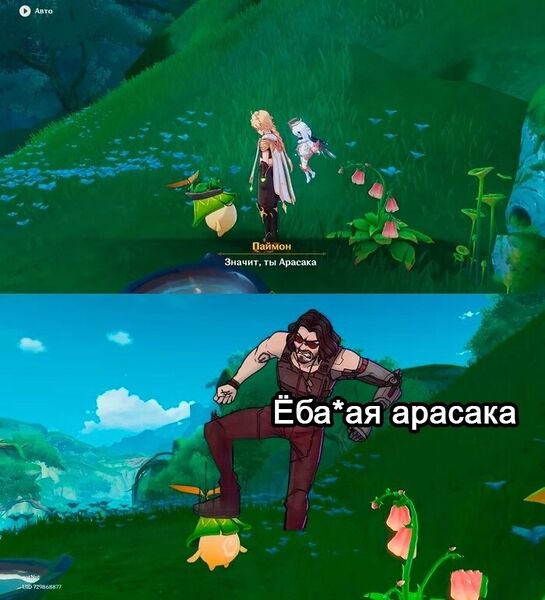 Файл:Арасака.jpg
