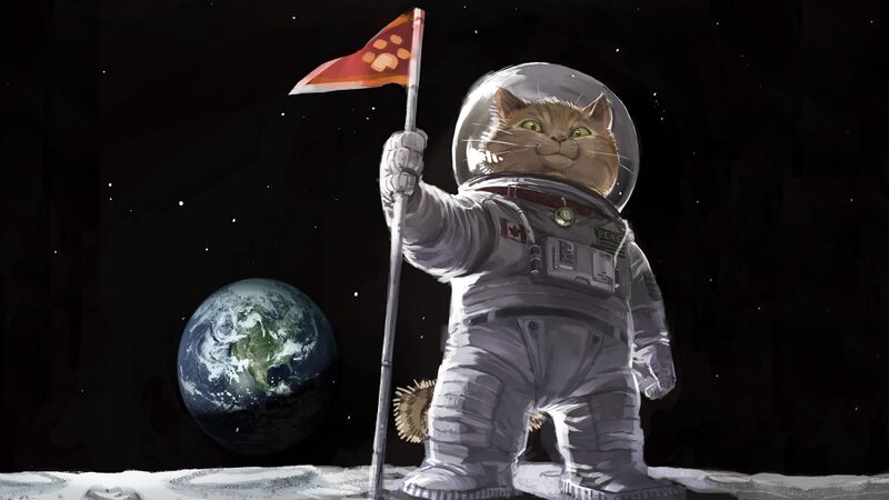 Кот космонавт в скафандре на луне.jpg