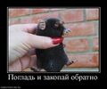 Миниатюра для версии от 09:15, 3 июля 2022