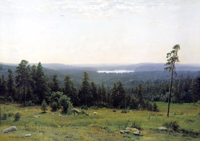 Лесные дали Шишкин 1884.jpg