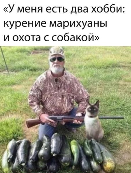 Файл:Охота на кабачки с котом.jpg
