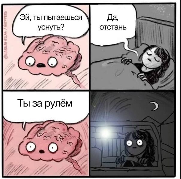 Файл:Сонливость на дороге, мем.jpg