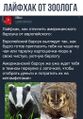 Миниатюра для версии от 17:37, 3 октября 2022