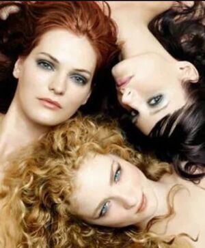 Обои Три девушки в купальниках, две брюнетки и одна блондинка