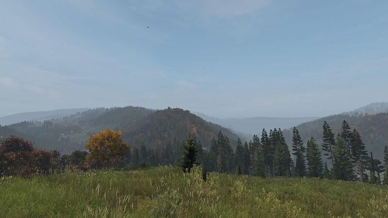 Файл:DayZВид с холма.jpg