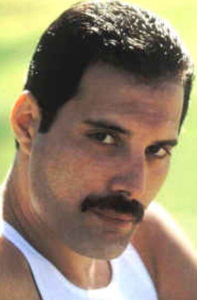 Файл:Freddie.jpeg