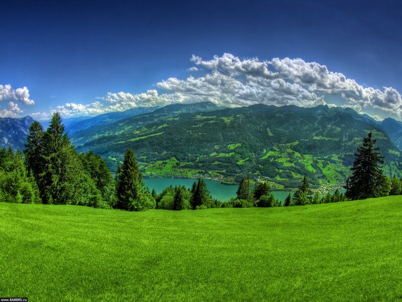 Файл:Green nature.jpg