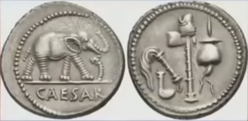 Файл:Julij Tsezar slon.jpg