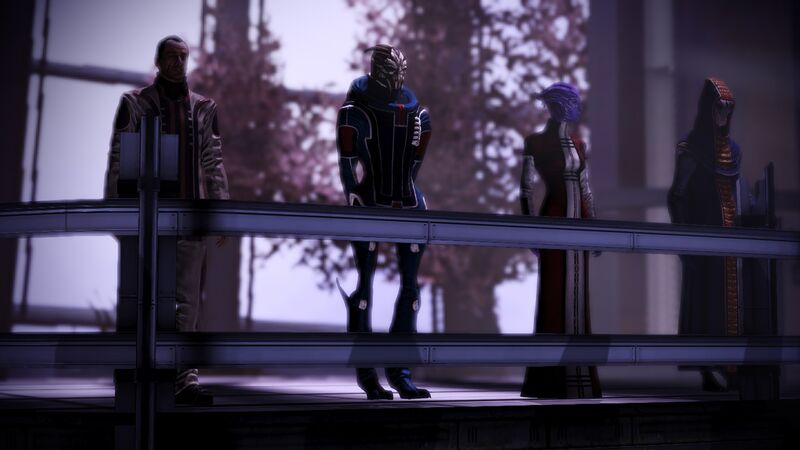 Файл:ME Council.jpg