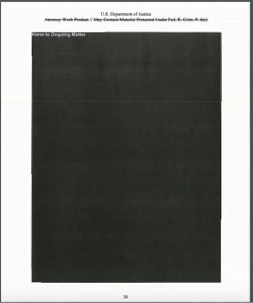 Файл:Muller report.jpg