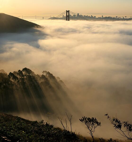 Файл:San francisco in fog with rays.jpg