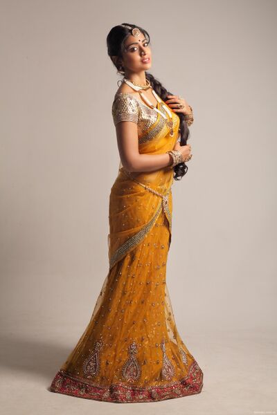 Файл:Shriya Saran Hot Show In Saree.jpg