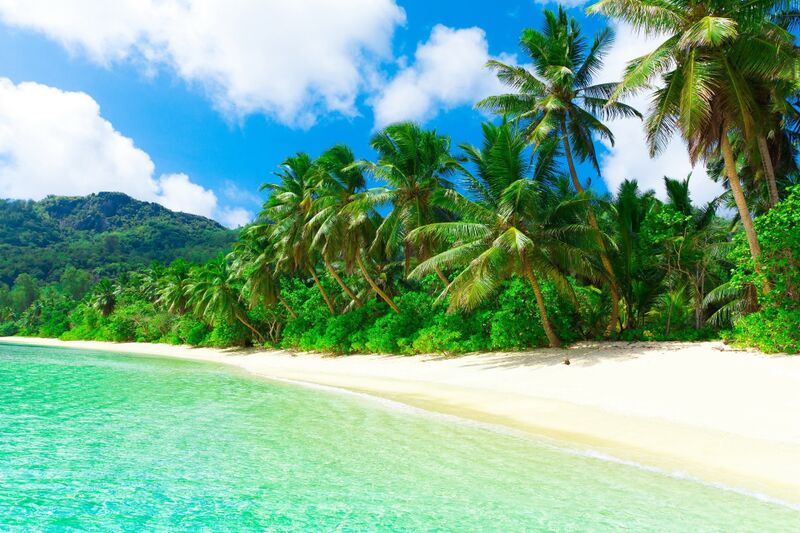 Файл:Tropical paradise.jpg