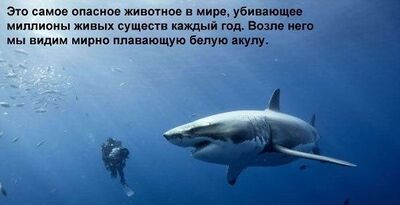 Сиськи в фильме Небесные акулы / Sky Sharks () | Пикабу